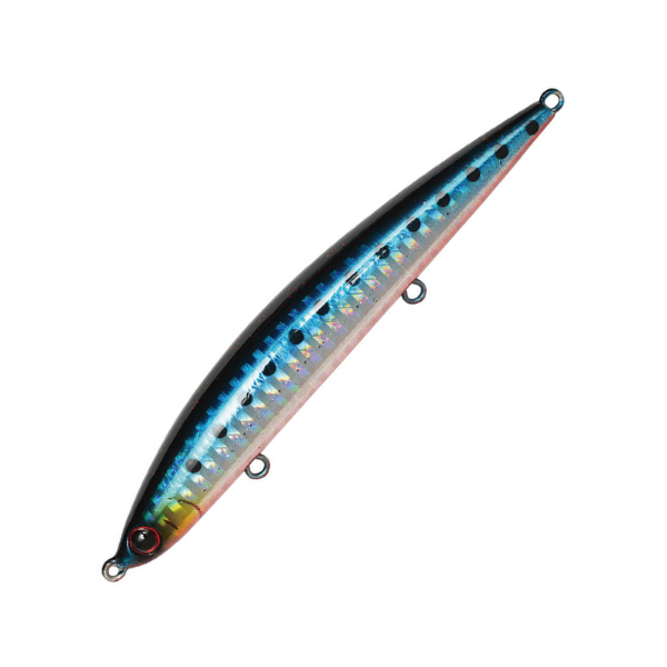 アスリート　１０５ＳＳＰ(ＳＲＩ　アカハライワシ)